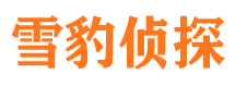 东风出轨调查